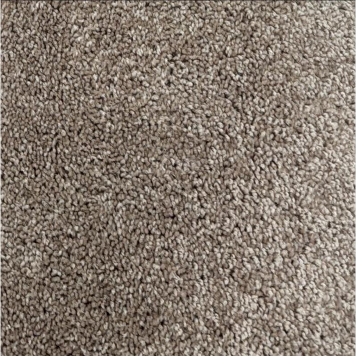 10ft x 11ft Tan Carpet